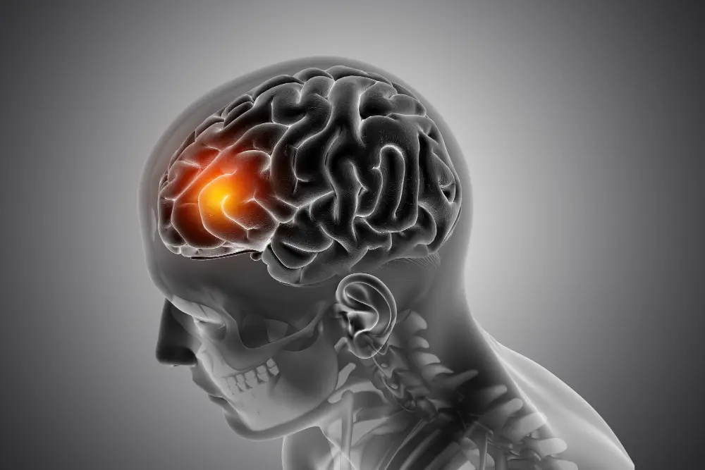 Human brain activity illustration with highlighted region.